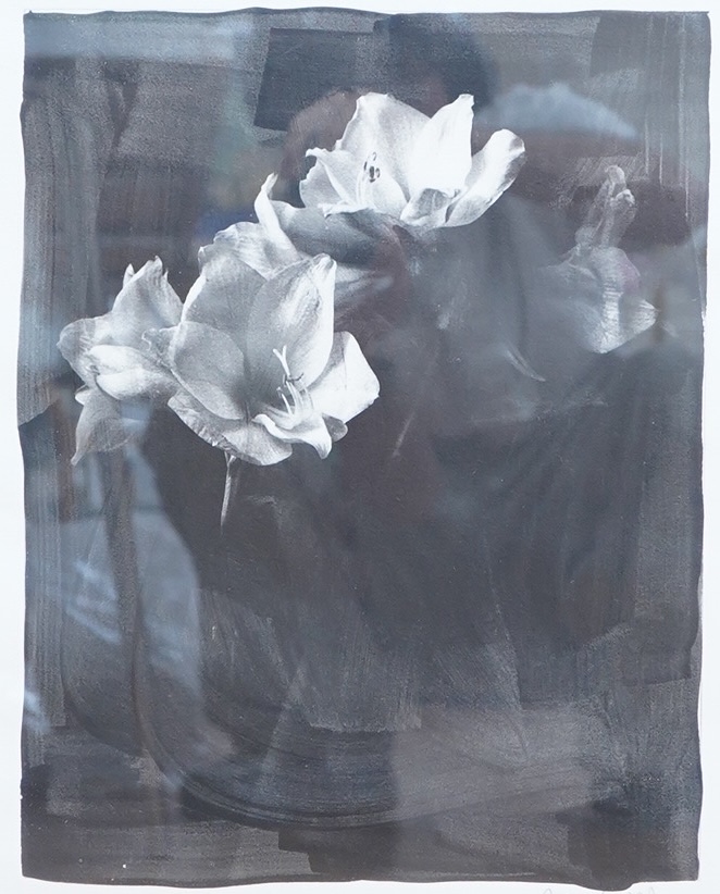 Robin Morris (contemporary), 'Three lilies', limited edition 2/10 verso, signed in pencil, selenium toned edition photograph, 37 x 30cm
